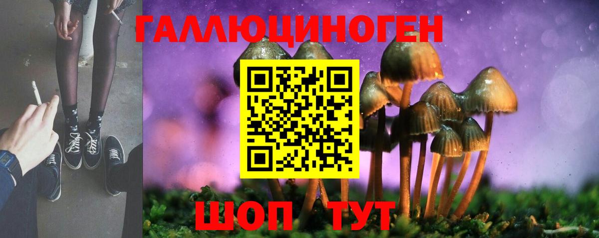 купить  сайты  Вход с VPN  Мурманск  Галлюциногенные грибы прущие грибы 